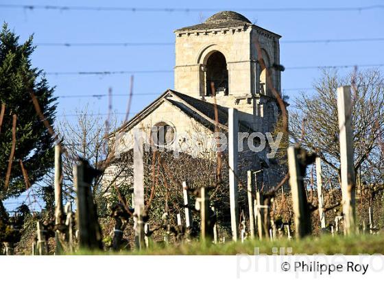 EGLISE ROMANE DE PARSAC ET  VIGNE EN HIVER, VIGNOBLE DE MONTAGNE SAINT EMILION. (33V44733.jpg)