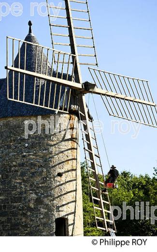 ENTRETIEN DES AILES DU MOULIN DE CALON, MONTAGNE-SAINT-EMILION, GIRONDE. (33V46308.jpg)