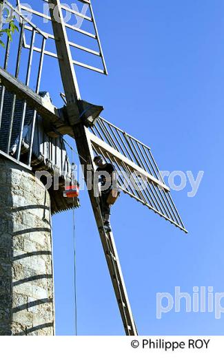 ENTRETIEN DES AILES DU MOULIN DE CALON, MONTAGNE-SAINT-EMILION, GIRONDE. (33V46311.jpg)