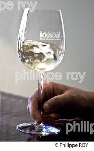 CHATEAU BOUSCAUT, VIGNOBLE  AOC GRAVES DE PESSAC LEOGNAN, LA ROUTE DES VINS DE BORDEAUX, GIRONDE. (33V47139.jpg)