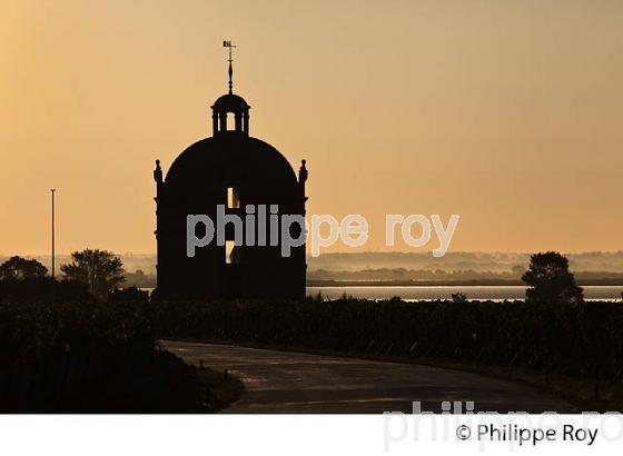 CHATEAU LATOUR ET ESTUAIRE DE LA GIRONDE, PAUILLAC, MEDOC,  AQUITAINE. (33V47221.jpg)