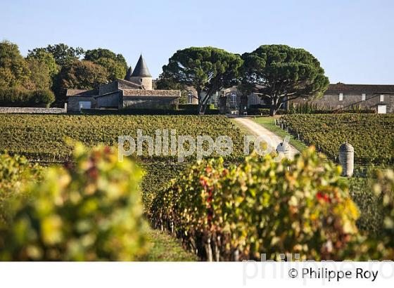 VIGNOBLE ET CHATEAU SAINT GEORGES ,  AOC SAINT GEORGES- SAINT-EMILION, GIRONDE. (33V47707.jpg)