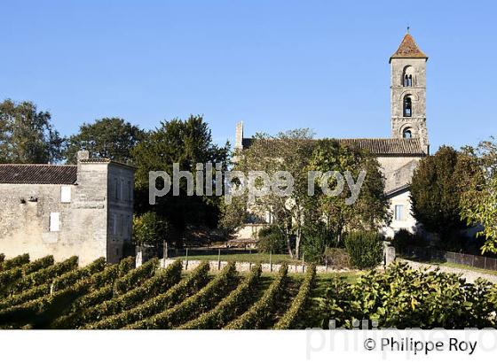 EGLISE ROMANE  SAINT GEORGES DE MONTAGNE  ET VIGNOBLE  ,  AOC SAINT GEORGES- AINT-EMILION, GIRONDE. (33V47709.jpg)
