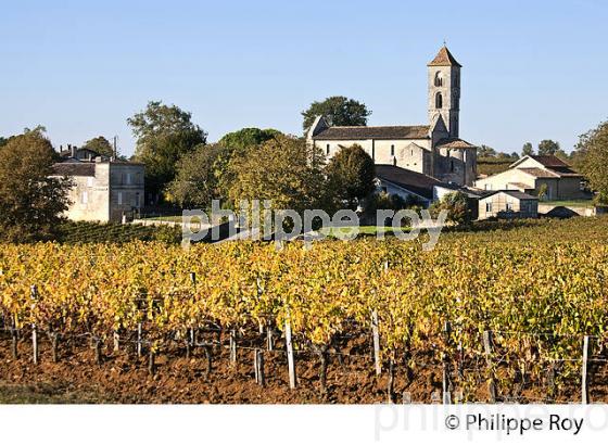 EGLISE ROMANE  SAINT GEORGES DE MONTAGNE  ET VIGNOBLE  ,  AOC SAINT GEORGES- AINT-EMILION, GIRONDE. (33V47711.jpg)