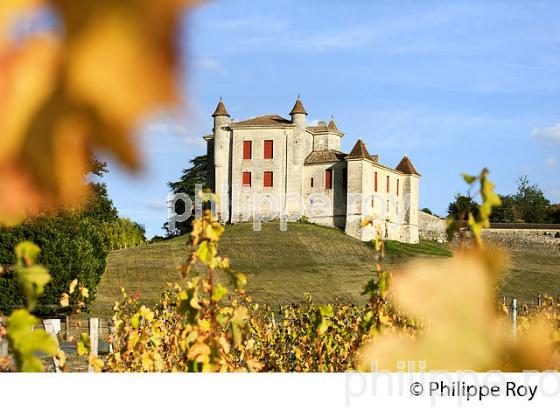VIGNOBLE ET CHATEAU DE MONBADON ,  AOC PUISSEGUIN- SAINT-EMILION, GIRONDE. (33V47730.jpg)