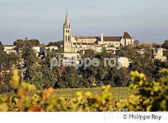 PAYSAGE VITICOLE ,ET VILLAGE DE SAINT EMILION,  AOC  SAINT-EMILION, GIRONDE. (33V47810.jpg)