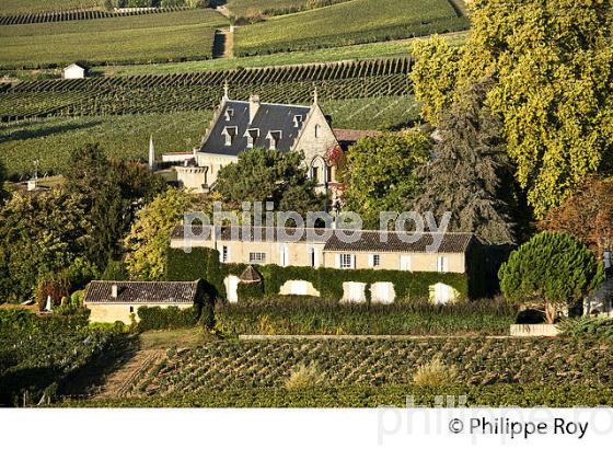 CHATEAU LA GAFFELIERE ET PAYSAGE VITICOLE , DES COTES ,  AOC  SAINT-EMILION, GIRONDE. (33V47815.jpg)