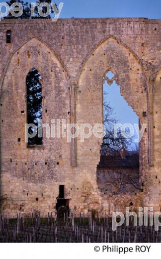 LE MUR DES DOMINICAINS , VESTIGES  DE L' EGLISE GOTHIQUE DU 14 EME SIECLE DU COUVENT DES DOMINICAINS, ET VIGNES DU CHATEU  LES GRANDES MURAILLES,   GRAND CRU CRU CLASSE, AOC SAINT EMILION, VILLAGE  MEDIEVAL ET FORTIFIE  DE SAINT EMILION, GIRONDE, AQUITAINE, NOUVELLE AQUITAINE,  FRANCE. (33V47906.jpg)