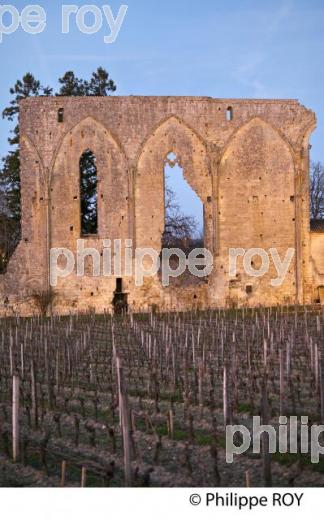 LE MUR DES DOMINICAINS , VESTIGES  DE L' EGLISE GOTHIQUE DU 14 EME SIECLE DU COUVENT DES DOMINICAINS, ET VIGNES DU CHATEU  LES GRANDES MURAILLES,   GRAND CRU CRU CLASSE, AOC SAINT EMILION, VILLAGE  MEDIEVAL ET FORTIFIE  DE SAINT EMILION, GIRONDE, AQUITAINE, NOUVELLE AQUITAINE,  FRANCE. (33V47907.jpg)