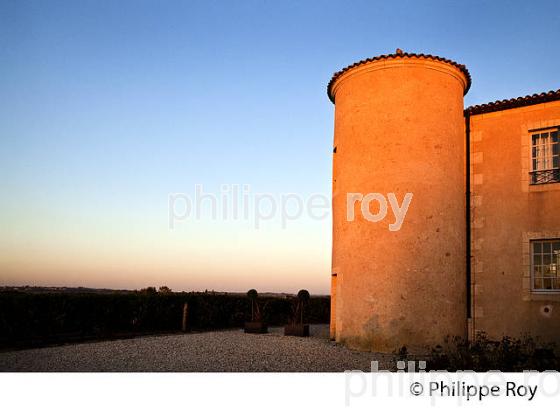 CHATEAU LAFAURIE-PEYRAGUEY,  VIN AOC  SAUTERNES, HOTEL RESTAURANT LALIQUE , GIRONDE. (33V48211.jpg)