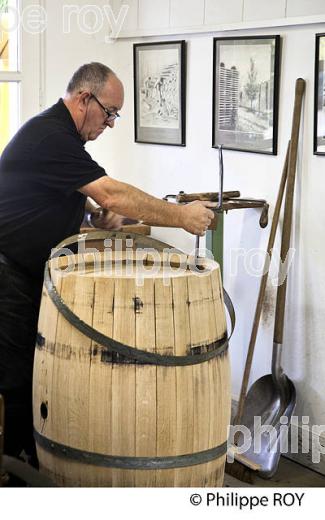 TONNELLERIE DU  CHATEAU HAUT-BRION, 1ER GRAND CRU CLASSE,  AOC  GRAVES DE PESSAC LEOGNAN , GIRONDE. (33V48430.jpg)