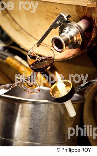 SOUTIRAGE BARRIQUE, VINIFICATION AU  CHATEAU HAUT-BRION, 1ER GRAND CRU CLASSE,  AOC  GRAVES DE PESSAC LEOGNAN , GIRONDE. (33V48439.jpg)