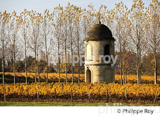 TOUR DU  CHATEAU DE PORTETS, AOC VINS DE GRAVES , VALLEE DE LA GARONNE, PORTETS, GIRONDE. (33V48532.jpg)
