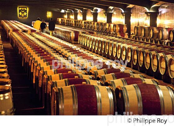 CHAI A BARRIQYUES, CHATEAU SMITH-HAUT-LAFITTE,  GRAND CRU CLASSE,  AOC  GRAVES DE PESSAC LEOGNAN , GIRONDE. (33V48724.jpg)