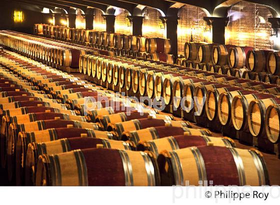 CHAI A BARRIQYUES, CHATEAU SMITH-HAUT-LAFITTE,  GRAND CRU CLASSE,  AOC  GRAVES DE PESSAC LEOGNAN , GIRONDE. (33V48725.jpg)