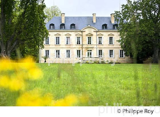 CHATEAU SIAURAC, AOC LALANDE D EPOMEROL, NEAC, GIRONDE, VIGNOBLE DE BORDEAUX. (33V48822.jpg)