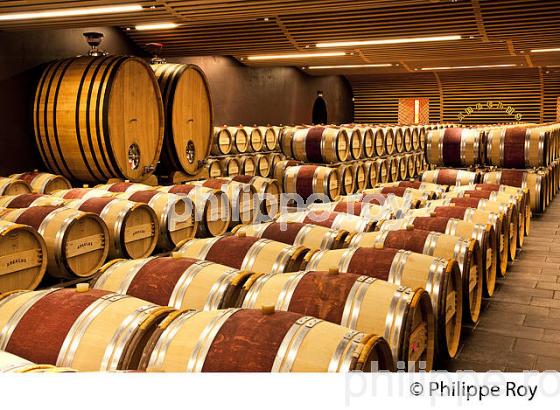 CHAI A BARRIQUES, CHATEAU ANGELUS, 1ER GRAND CRU CLASSE A , AOC SAINT EMILION, VINS  DE BORDEAUX. (33V48905.jpg)