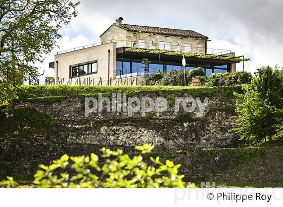 CHATEAU PAVIE MAQUIN,  1 ER GRAND CRU CLASSE, AOC SAINT EMILION, VIGNOBLE DE BORDEAUX. (33V49012.jpg)