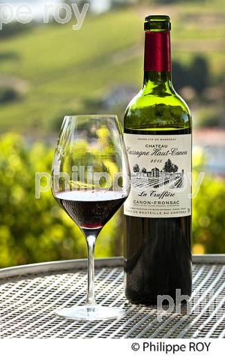 DEGUSTATION VIN, CHATEAU CASSAGNE HAUT CANON, AOC  CANON FRONSAC, VINS DE BORDEAUX, GIRONDE. (33V49828.jpg)