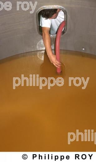Vinification (33v02034.jpg)