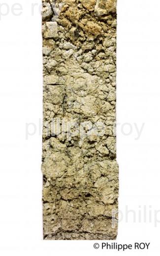 SOL ARGILO-CALCAIRE , VIGNOBLE DE FRONSAC, GIRONDE. (33v08204-ok.jpg)
