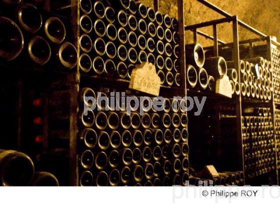 Cave - Vignoble Bordelais (33v28309.jpg)