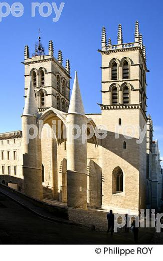 CATHEDRALE, VIEUX MONTPELLIER, LANGUEDOC-ROUSSILLON. (34F00122.jpg)