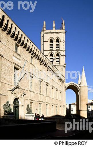 FACULTE DE MEDECINE, VIEUX  MONTPELLIER, LANGUEDOC-ROUSSILLON. (34F00134.jpg)