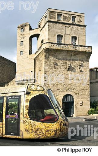 LA TOUR DE LA  BABOTE,  MONTPELLIER COEUR DE VILLE , HERAULT, LANGUEDOC. (34F01532.jpg)