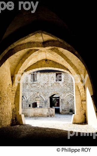 ABBAYE DE BAUME-LES-MESSIEURS, JURA, FRANCE (39F00736.jpg)