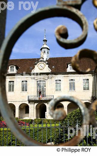 HOTEL-DIEU, LONS-LE-SAUNIER, JURA, FRANCE (39F00940.jpg)