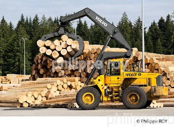 PRODUCTION DE BOIS, SCIERIE INDUSTRIELLE, JURA, FRANCE (39F01720.jpg)