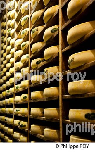 FABRICATION DU FROMAGE DE COMTE, JURA, FRANCE (39F02036.jpg)