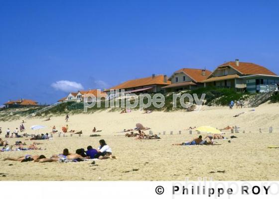 Les Landes (40F00214.jpg)