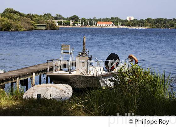 LAC DE BISCARROSSE, COTE ATLANTIQUE, LANDES, AQUITAINE. (40F02414.jpg)