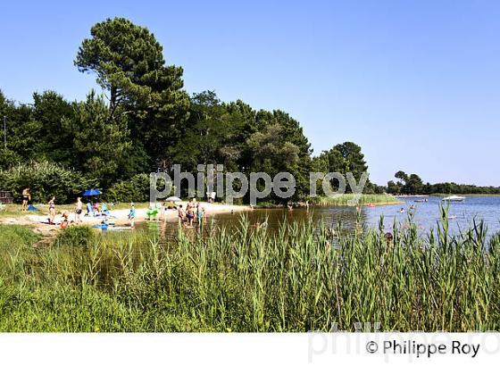 LAC DE BISCARROSSE, COTE ATLANTIQUE, LANDES, AQUITAINE. (40F02421.jpg)
