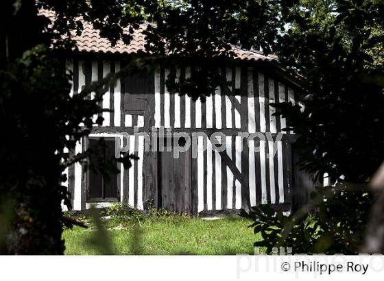 MAISON TRADITIONNELLE LANDAISE, LUXEY, PARC NATUREL  REGIONAL DES LANDES DE GASCOGNE, AQUITAINE. (40F02503.jpg)