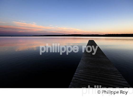LAC DE SANGUINET , LANDES, COTE ATLANTIQUE,  AQUITAINE. (40F03111.jpg)