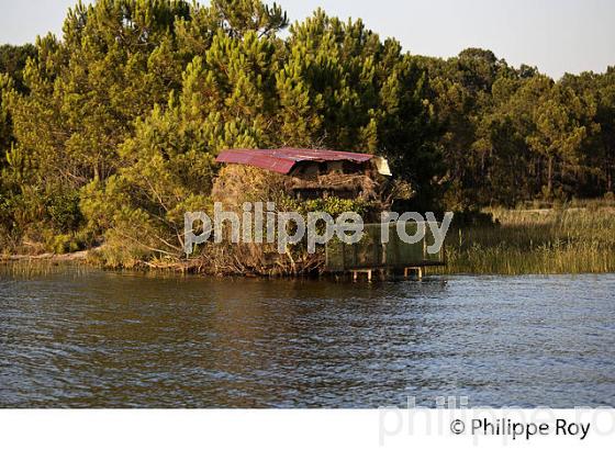 LAC DE SANGUINET , LANDES, COTE ATLANTIQUE,  AQUITAINE. (40F03214.jpg)