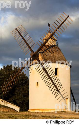MOULIN A VENT  DE CHALOSSE,  BENESSE-LES-DAX ,LANDES. (40F03505.jpg)