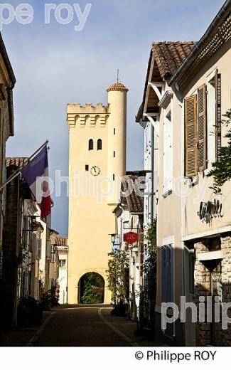 CLOCHER , EGLISE SAINTE CATHERINE,  MONTAUT, CHALOSSE, LANDES. (40F04123.jpg)