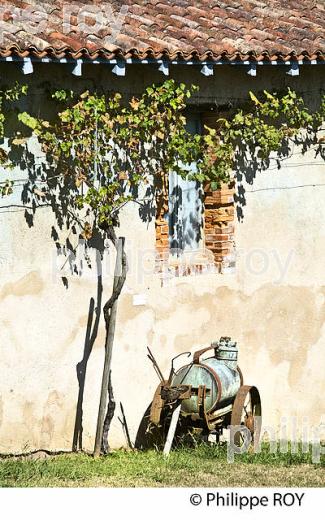 MUSEE DE LA CHALOSSE, DOMAINE CARCHER,  BASTIDE DE MONTFORT EN CHALOSSE, CHALOSSE, LANDES. (40F04210.jpg)