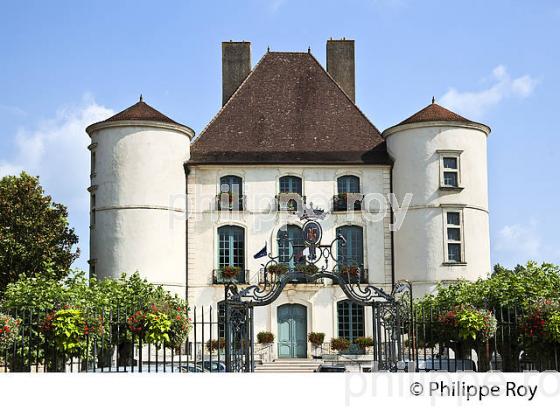 LE CHATEAU DE PEYREHORADE , PAYS D'ORTHE, LANDES. (40F04911.jpg)