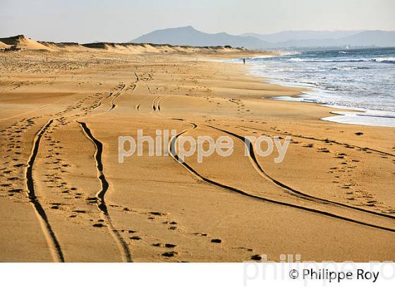 PLAGE DE LA POINTE,  STATION BALNEAIRE DE CAPBRETON, COTE D' ARGENT, LANDES. (40F07411.jpg)