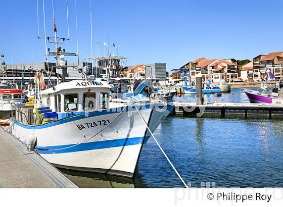 CHALUTIER, PORT DE PECHE  DE CAPBRETON, COTE D' ARGENT, LANDES. (40F07422.jpg)