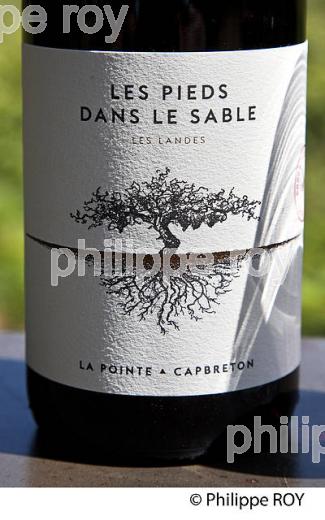 DOMAINE DE LA POINTE, VIN DES SABLES, COMMUNE DE CAPBRETON, COTE D' ARGENT, LANDES. (40F07602.jpg)