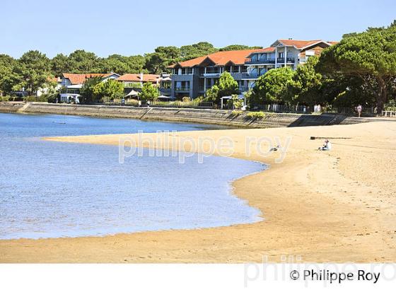 PLAGE DU PARC, LAC  D' HOSSEGOR, STATION BALNEAIRE DE HOSSEGOR, COTE D' ARGENT, LANDES. (40F07631.jpg)
