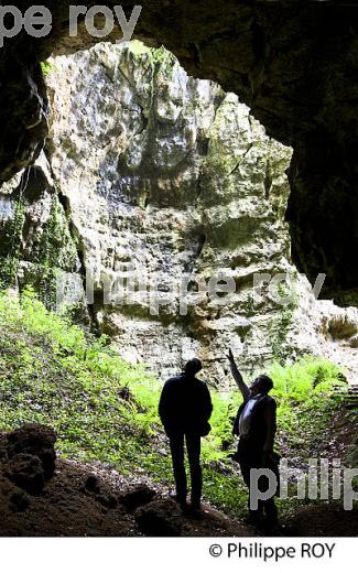 PHOSPHATIERES DE CLOUP D' AURAL, BACH, CAUSSE DE LIMOGNE, QUERCY, LOT. (46F01708.jpg)