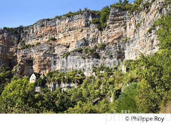 FALAISE  CALCAIRE SURPLOMBANT LE VILLAGE DE SAULIAC-SUR-CELE, VALLEE DU CELE, QUERCY, LOT. (46F02402.jpg)