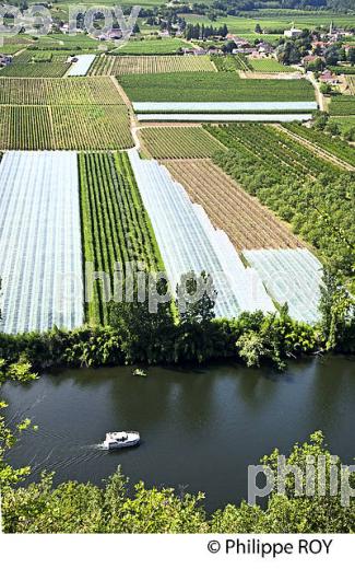 TOURISME FLUVIAL SUR LE LOT, ET POLYCULTURE , COMMUNE DE PARNAC, VALLEE DU LOT, QUERCY, LOT. (46F02712.jpg)